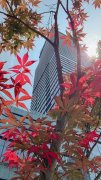 大本营智慧分享