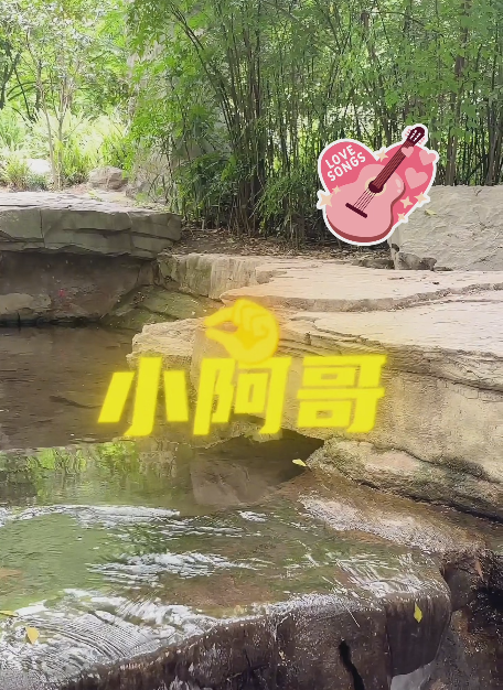 大本营早餐来了