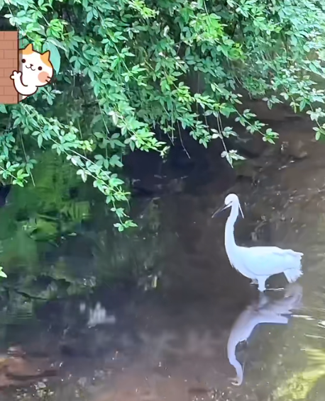大本营早餐来了