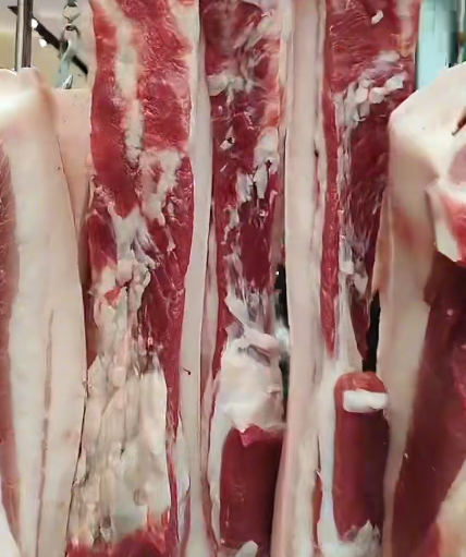 大本营早餐来了