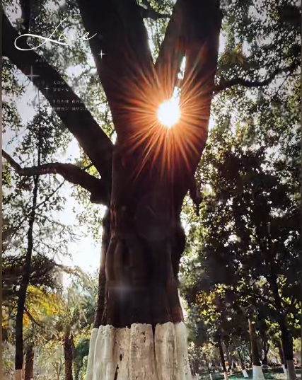 大本营早餐来了