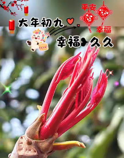 大本营早餐来了