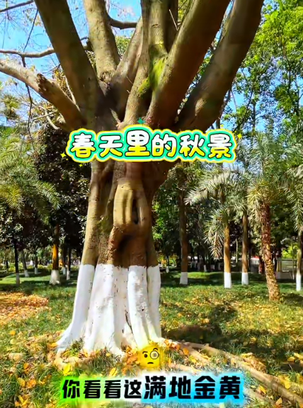 大本营早餐来了