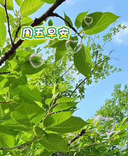大本营早餐来了
