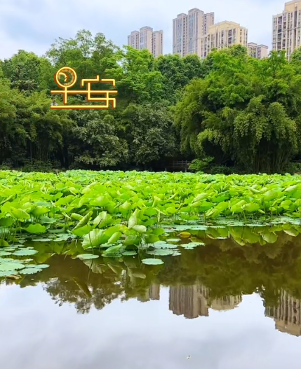 大本营早餐来了