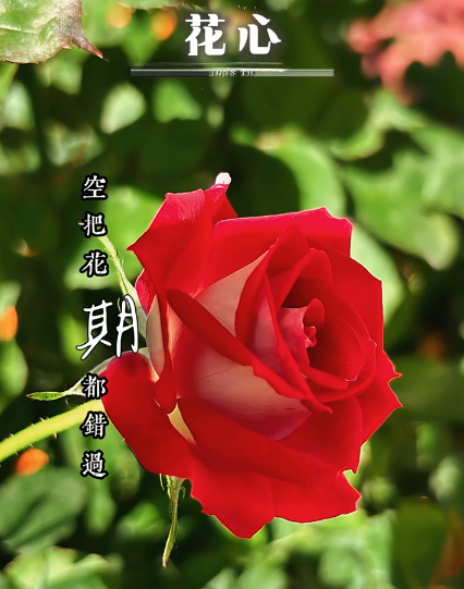 大本营早餐来了