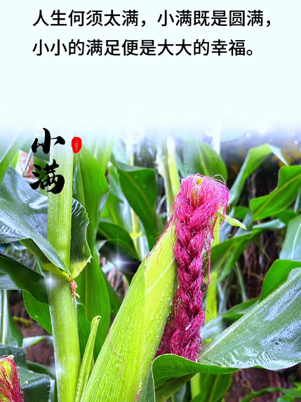 大本营早餐来了