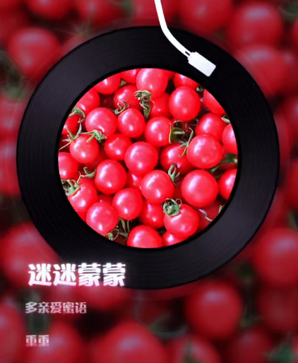 大本营早餐来了