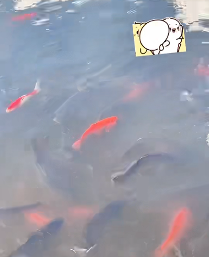 大本营早餐来了