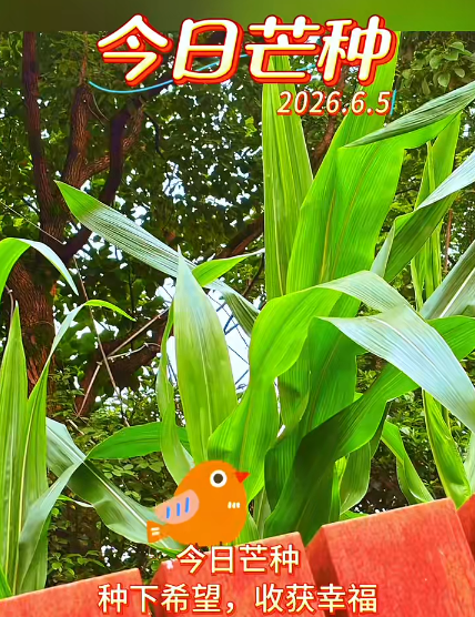 大本营早餐来了