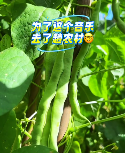 大本营早餐来了