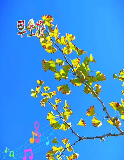 大本营早餐来了