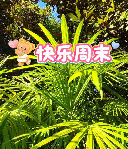 大本营早餐来了