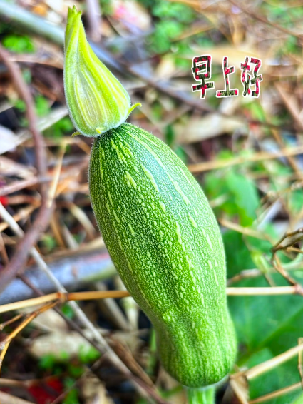 大本营早餐来了