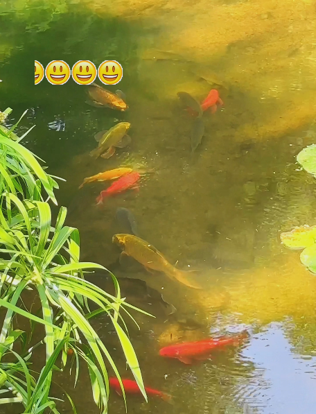 大本营早餐来了