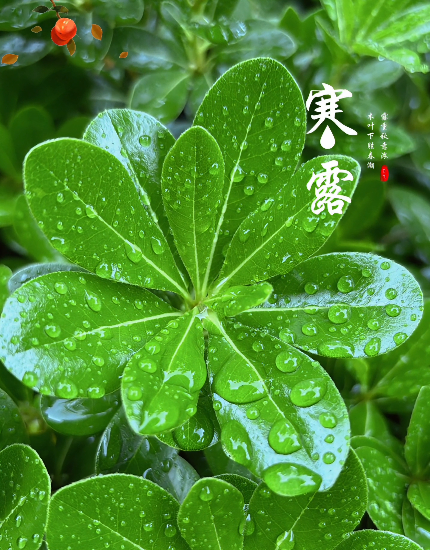 大本营早餐来了
