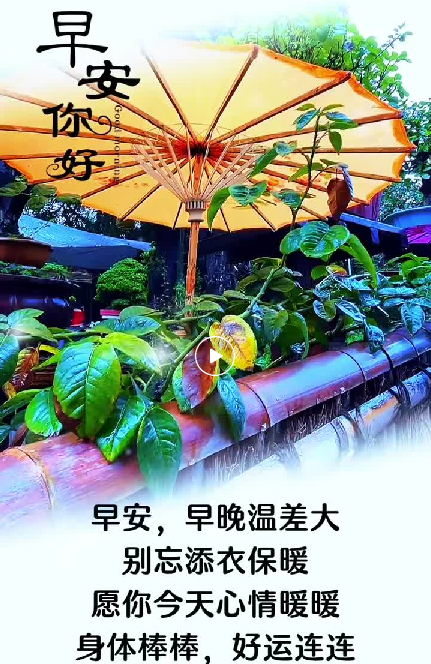 大本营早餐来了