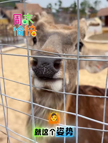 大本营早餐来了