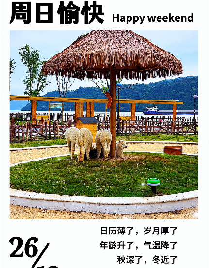 大本营早餐来了