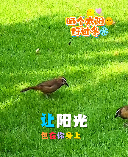 大本营早餐来了