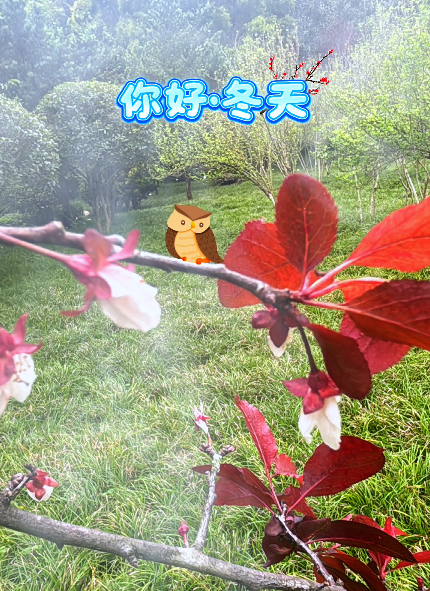 大本营早餐来了