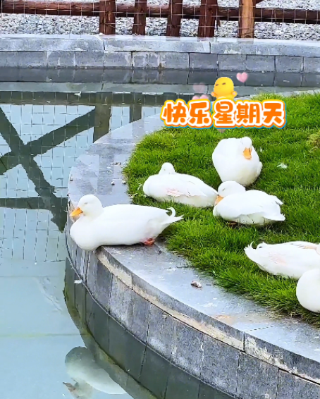 大本营早餐来了