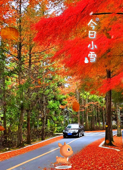 大本营早餐来了