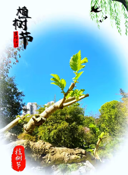 大本营早餐来了