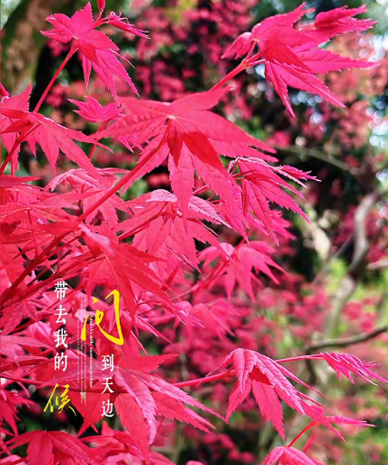大本营早餐来了