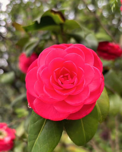 大本营早餐来了