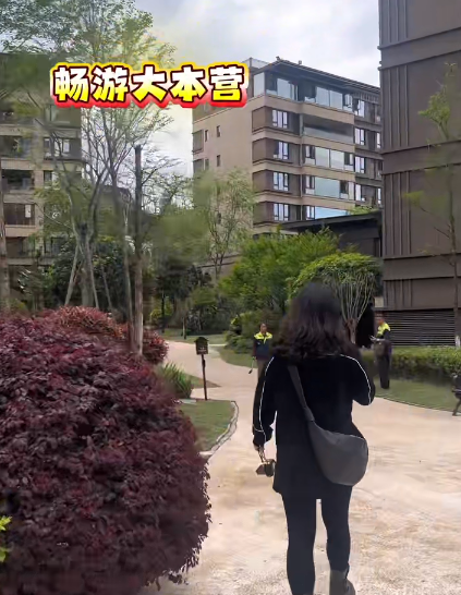 全案设计·直通车