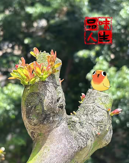 大本营早餐来了