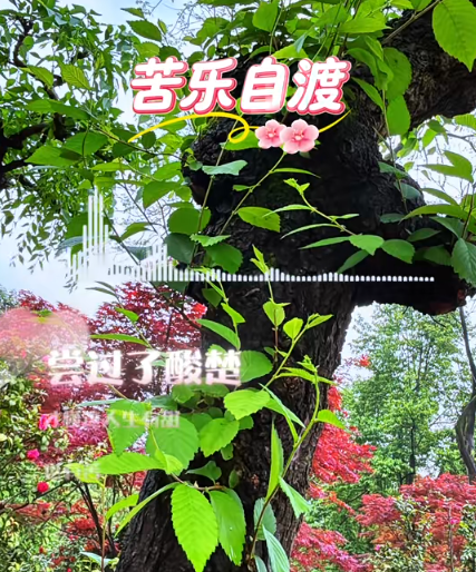 大本营早餐来了