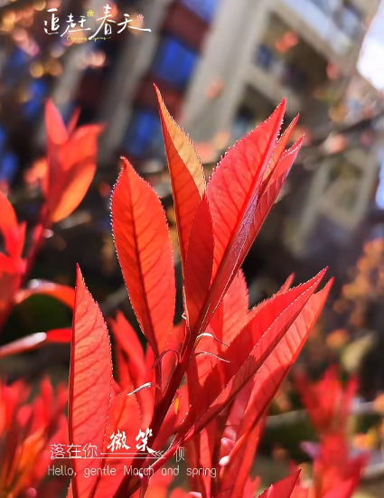 大本营早餐来了