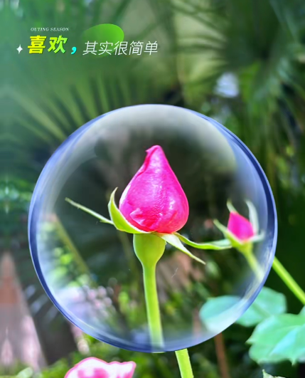 大本营早餐来了