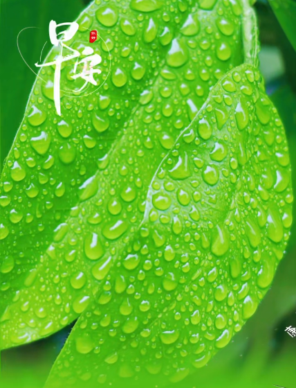 大本营早餐来了