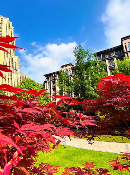 大本营早餐来了