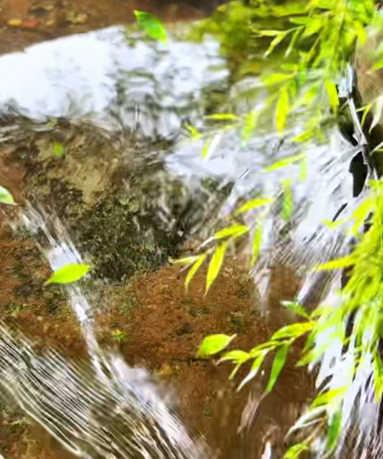 大本营早餐来了