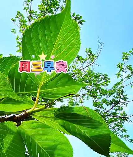 大本营早餐来了