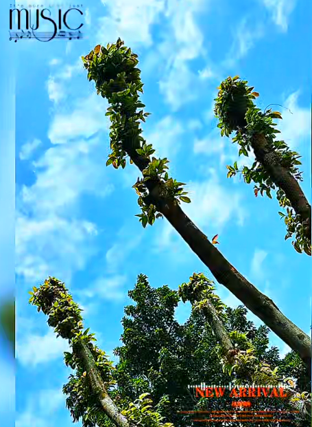 6.24.1.png