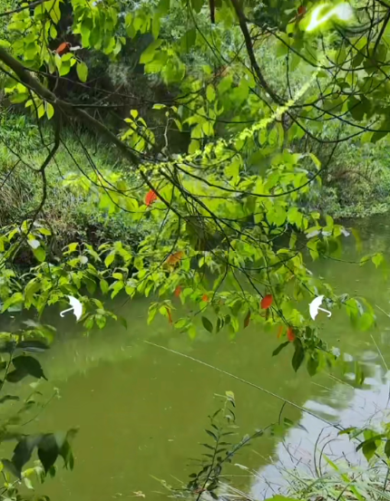 大本营早餐来了