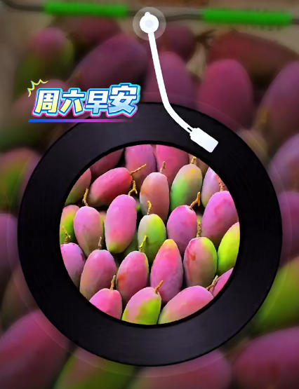 大本营早餐来了