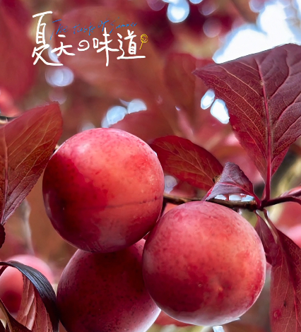 大本营早餐来了