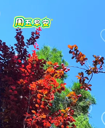 大本营早餐来了