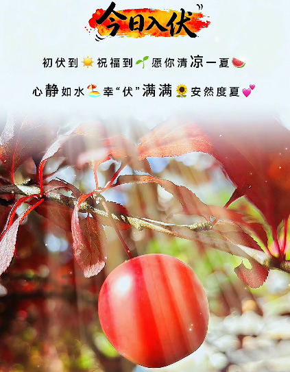 大本营早餐来了