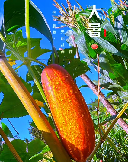 大本营早餐来了