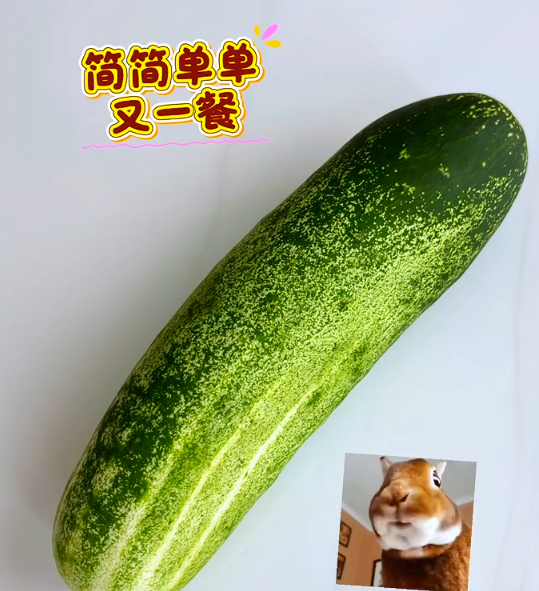 大本营早餐来了
