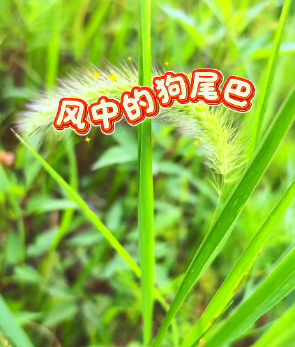 大本营早餐来了
