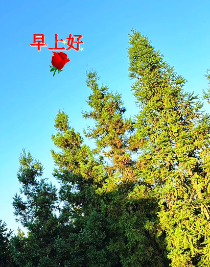 大本营早餐来了