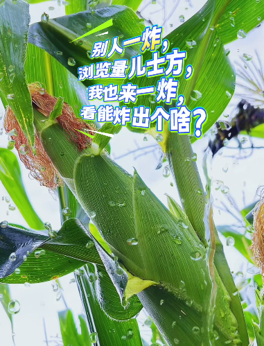 大本营早餐来了